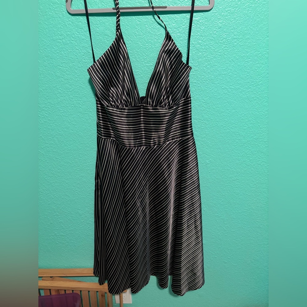 Alyn Paige Black and White Striped Dress